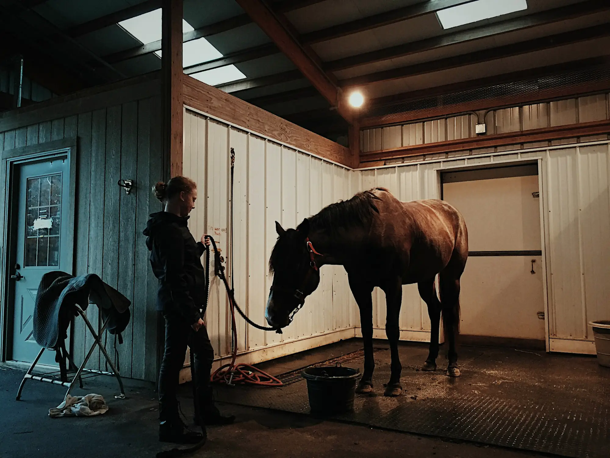 Pferd in der Stallgasse bei der täglichen Pflege